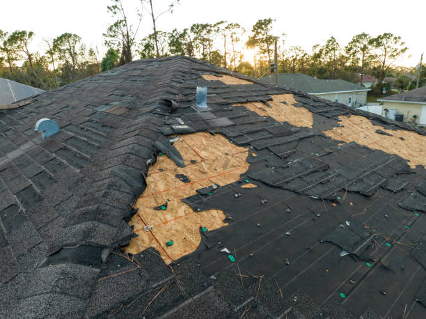 Best Wood Shake Roofing  in Sudden Valley, WA